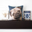 Vintage French Tapestries for Contemporary Decor